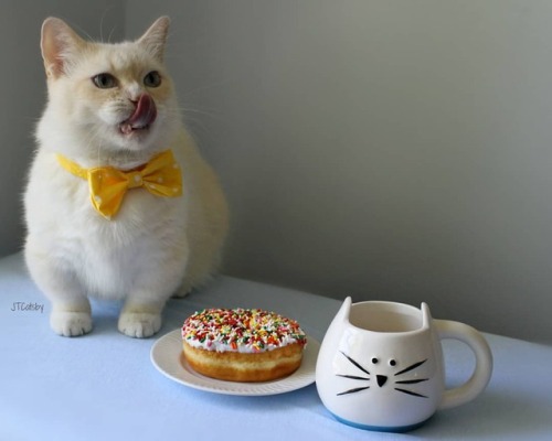 jtcatsby: For me?!?! I love sprinkles!!! What’s your favorite kind of donut? #NationalDonutDay