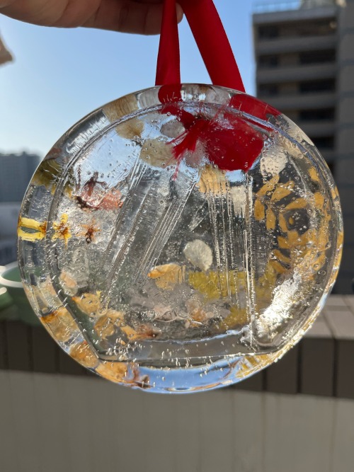 Its Winter Solstice Today! I Made Some Ice Hanging Decorations With Dried Flowers This Morning