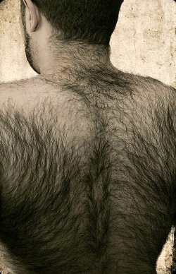 hairyobsessionss:BBB BIG BEEFY BEAST https://hairyobsessionss.tumblr.com/Tumblr