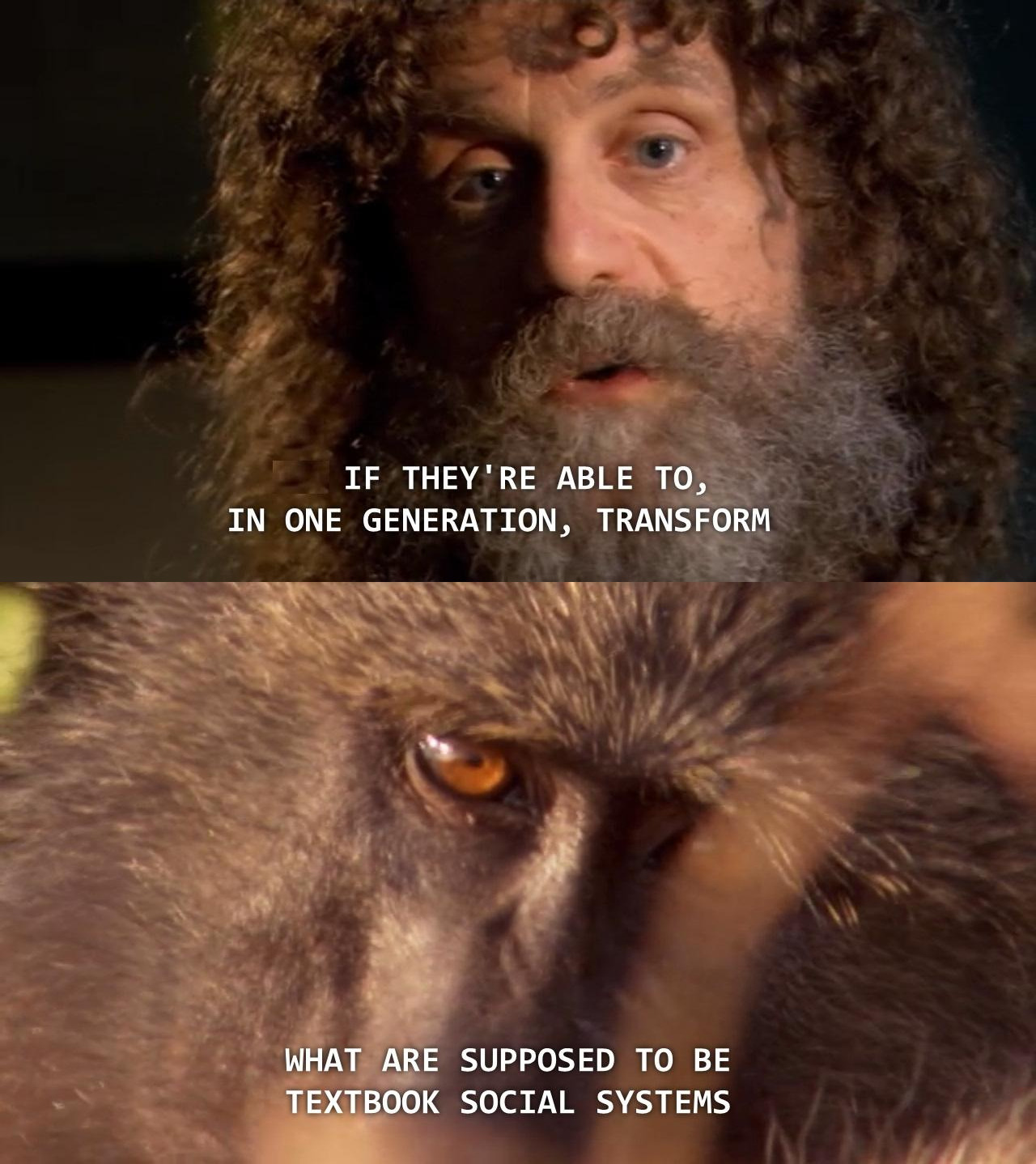 jhameia:
“ driftingfocus:
“ anogoodrabblerouser:
“ disquietingtruths:
“ universalequalityisinevitable:
“ Robert Sapolsky about his study of the Keekorok baboon troop from National Geographic’s Stress: Portrait of a Killer.
”
Thiiiiiiis, people,...