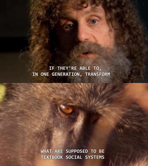 3liza: universalequalityisinevitable: Robert Sapolsky about his study of the Keekorok baboon troop f