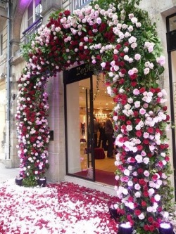 audreylovesparis:  entrance to Repetto shop, Paris  