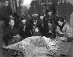 The last photo ever taken of Hachikō, the