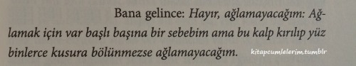kitapcumlelerim:  Agustos Bocekleri Agladiginda