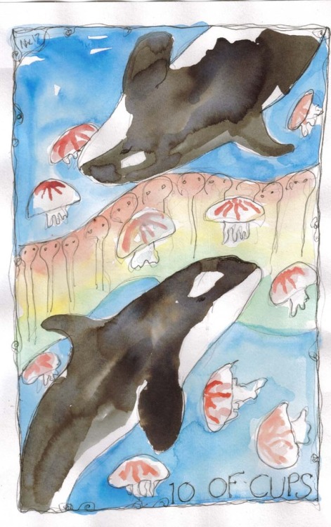 electricnik:Whale tarot, 10 of cups, Jellyfish and salps.