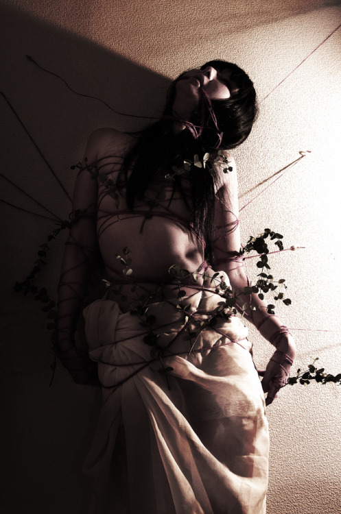 ghost000:  photo keikitamura 北村ケイ
