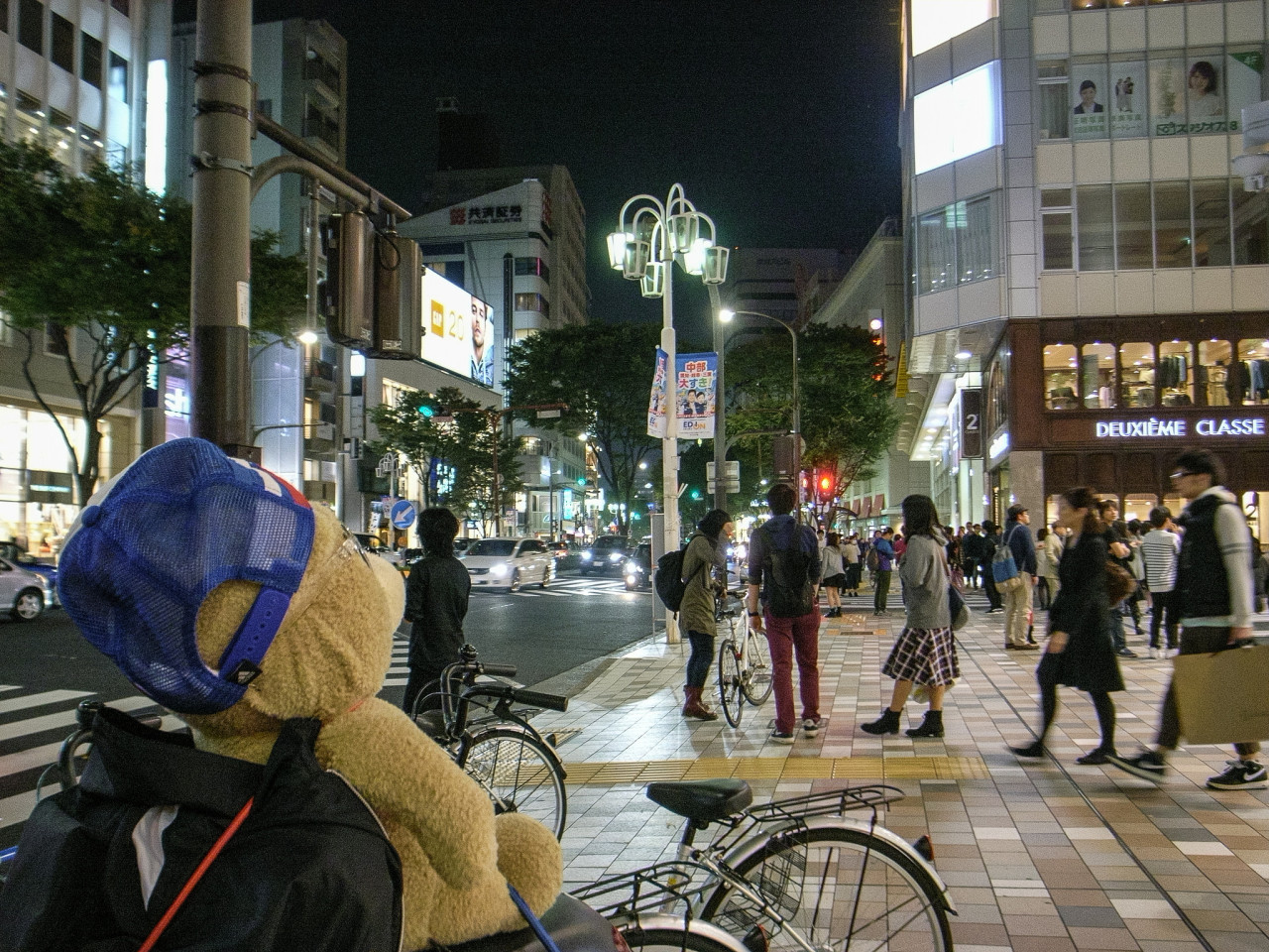 歩道に停められていたバイクの荷台にいたテッド。
賑わう夜の街を眺めていた。