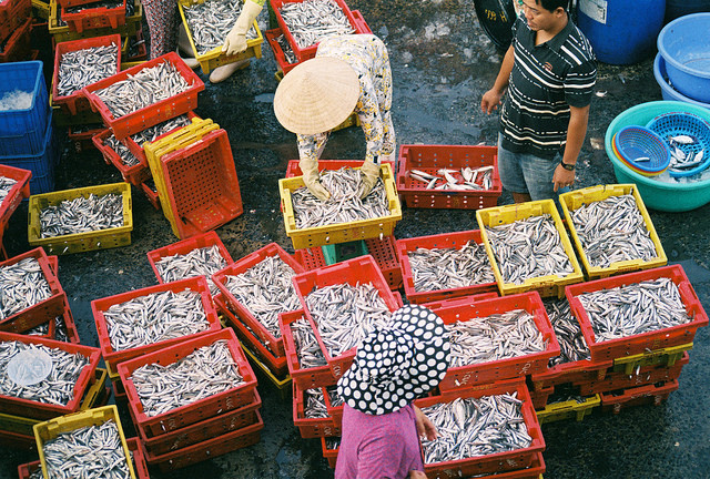 Fishing market, Vĩnh Trường on Flickr.
• Camera: Nikon FM
• Film: Fuji ProPlus 200