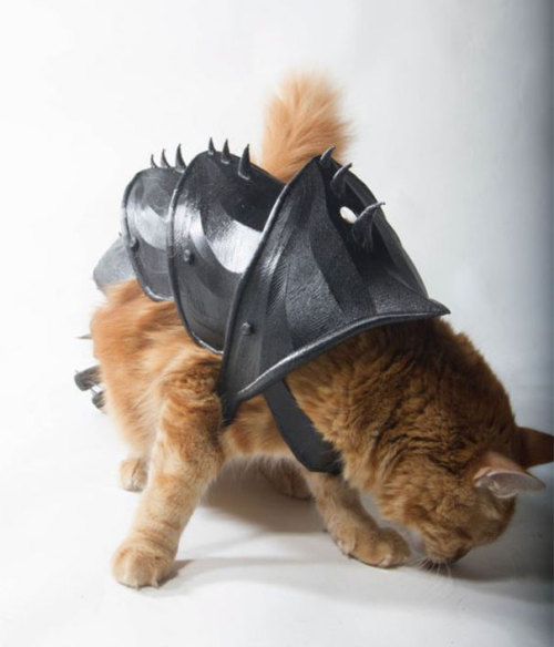thecutestcatever:catsbeaversandducks:A creative named Jwall from PrintThatThing just made his orange