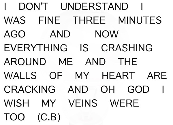 not-in-kansas-anymore:  my veins are begging to be opened //