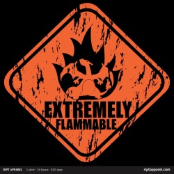 gamefreaksnz:  Extremely Flammable by piercek25