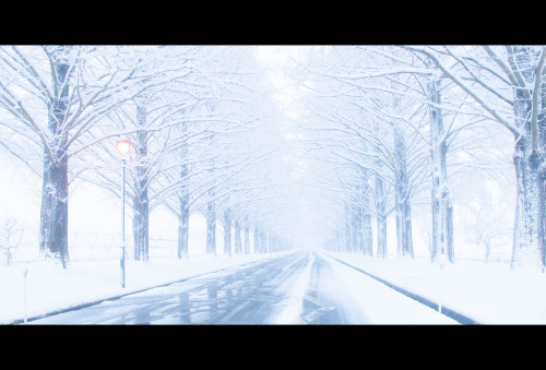 D610     26mm     F11     1/13SEC &