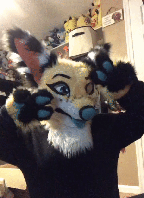 sixcorrupted:Furry power!  Cute :D
