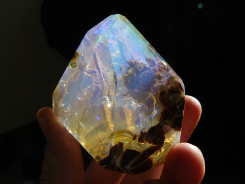 opticallyaroused: Crazy Beautiful Opal