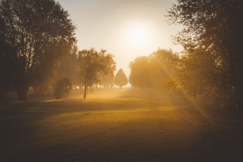 drxgonfly: Burgandy- France (by Sébastien Rossi)