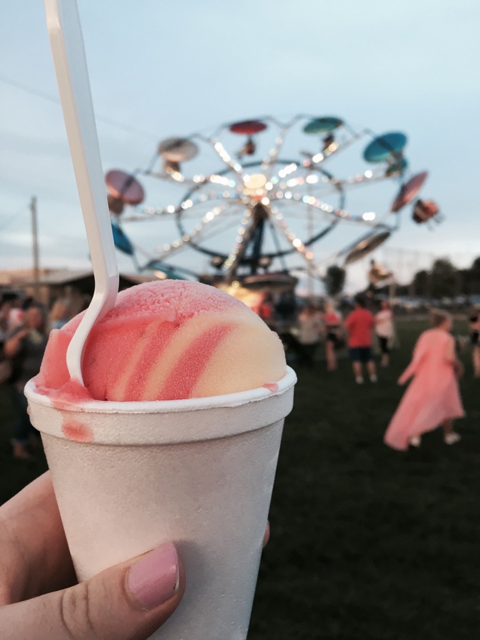 My Aesthetic Things — Summer Aesthetic Carnival