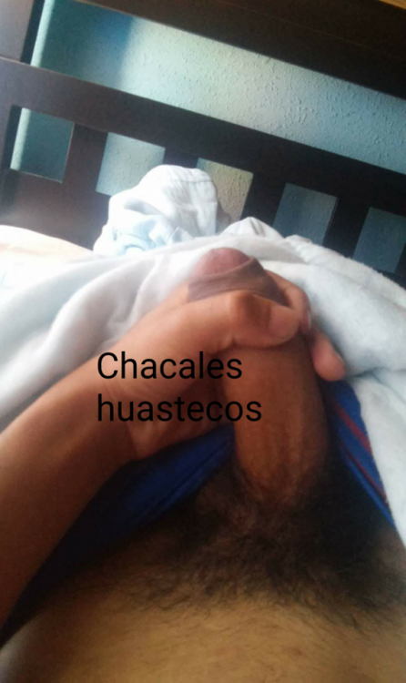 chacaleshuastecos2:  Rico chacal de rancho Andrés de la husteca potosina