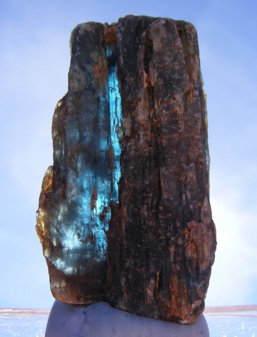 ifuckingloveminerals: Kyanite Huckitta Well, Harts Range, Central Desert Region, Northern Territory,