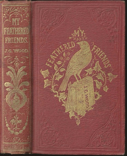 My Feathered Friends. J.G. Wood. London: G. Routledge &amp; Co., 1858. Binding designed by John Leig