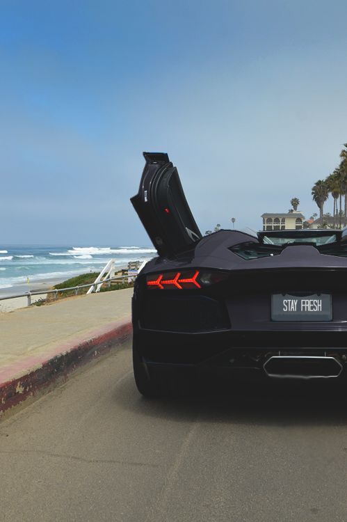 luxurymoney:  luxurymoney|Source|More