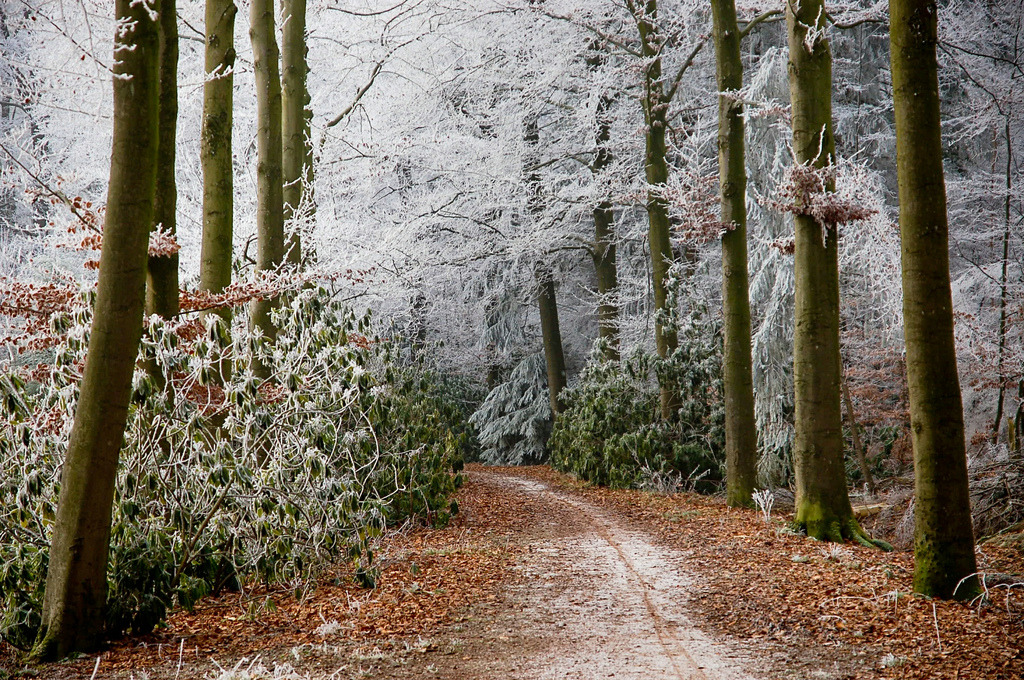 brutalgeneration:  it was wonderful (by serni)
