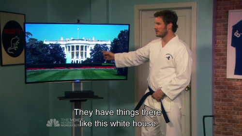 The mental institution called the Smithsonian and the Lincoln Memorial, in Parks and Recreation, The