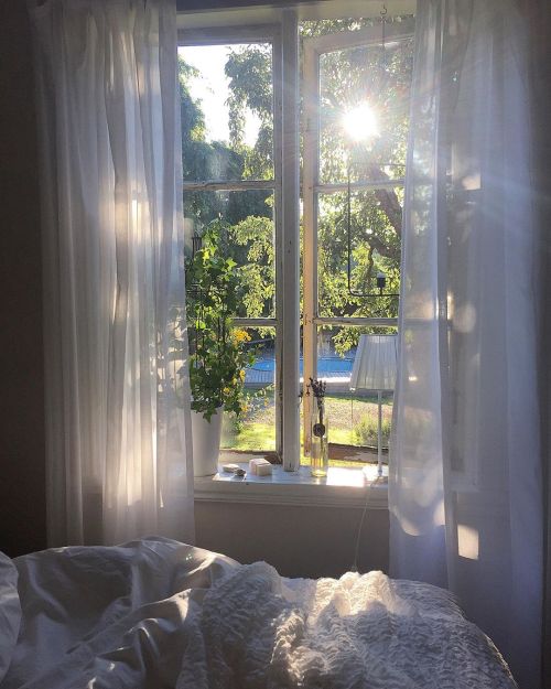 alraunahomestead: @byanettekristina And sun will rise again