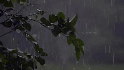 https://64.media.tumblr.com/b8f323a75443d67b88e37eeba1eae19d/tumblr_oftizdeRzH1u86ybeo1_500.gif