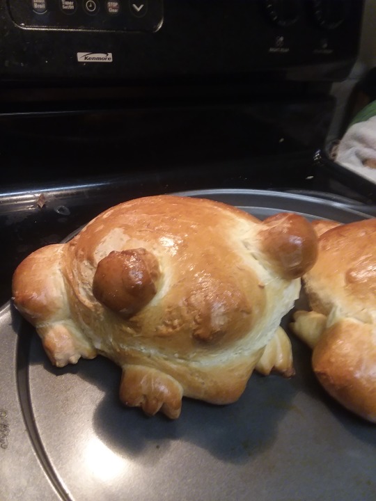 teal-fruit:  teal-fruit:   teal-fruit:   teal-fruit:  I’m making bread   bread boys     my sons! THEY’RE DELICIOUS   frog bread was tagged explicit. reblog the forbidden frog bread for luck and power 