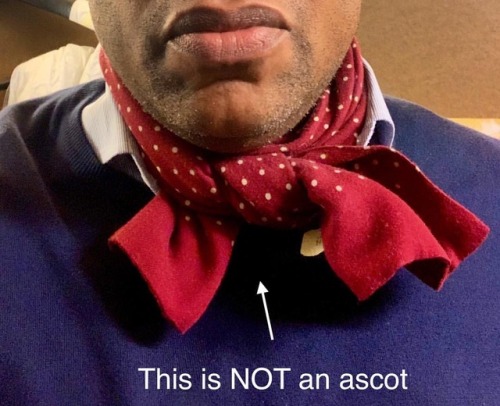 This is not an ascot. It’s simply a scarf looped around my neck twice and knotted. Up-and-comings, p