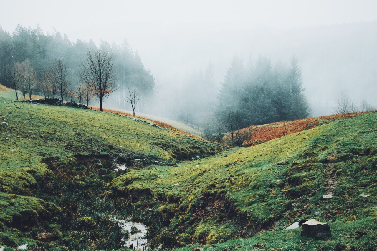 dpcphotography:  Hagg Farm, UK
