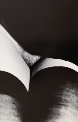 Art-Porn:  Ralph Gibson