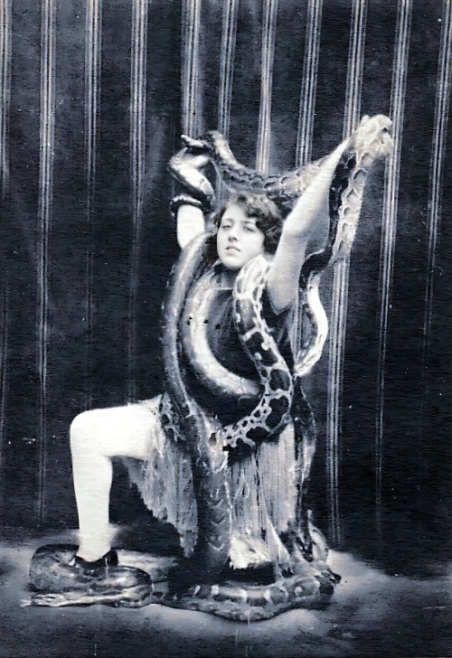 Rosina charmeuse de serpents.