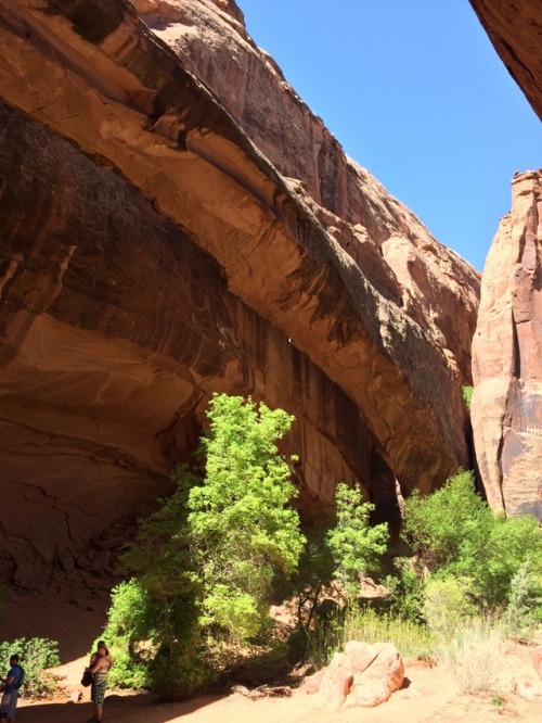 Moab, UT. Morning glory arch.