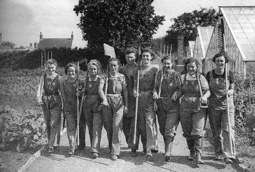 Members of the Women’s Land Army (Somerset, 1942).