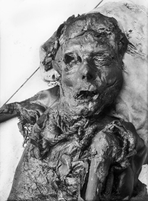“The Borremose bodies are three bog bodies that were found in the Borremose peat bog in Himmerland, 