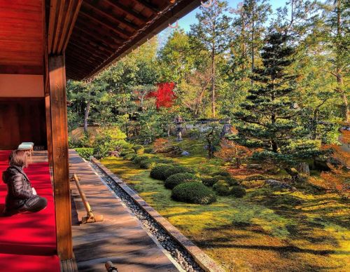 ⛳️1658. 妙心寺 大雄院庭園 Myoshin-ji Daioin Temple Garden, Kyoto ・・・・・・・・ 写真セレクトしながら、まだ紹介できてないけどここよかったなーってお庭