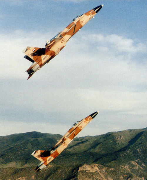 31262:  Aggressor Hornets (Source)