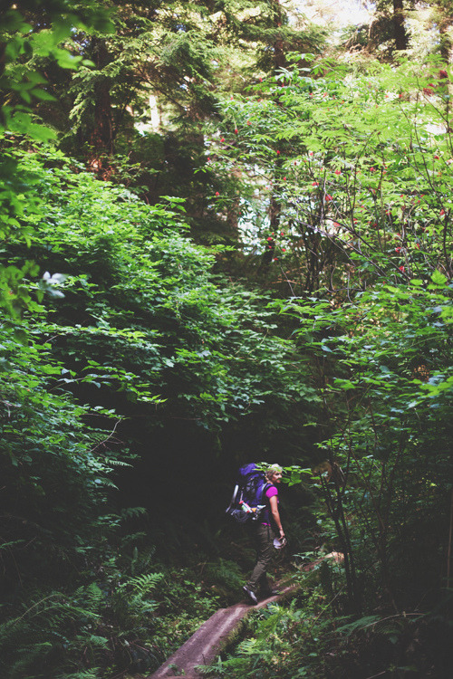 vacants:  (by the little red house)