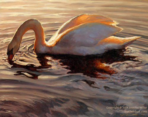 “Liquid Silver”, Mute Swan. My first time painting on stretched linen! 8″x10″ oil. As always, a very