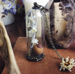 shoptheopaque:  Here are the terrarium necklaces I made for the update!