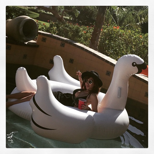 J, whiskey, swan. Killin it. (at The Hideaway)
