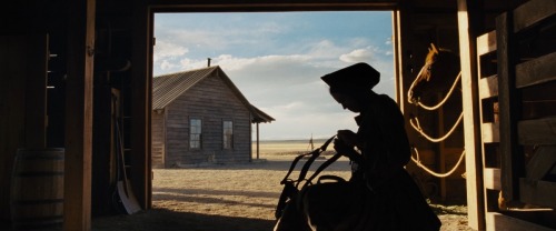 The Homesman  [ 2014 ]Dir:  Tommy Lee JonesDoP:  Rodrigo PrietoFULL POST (60x - 1080p screencaps)