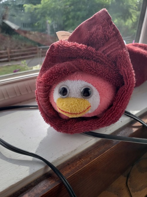 A Day Out With Peepy