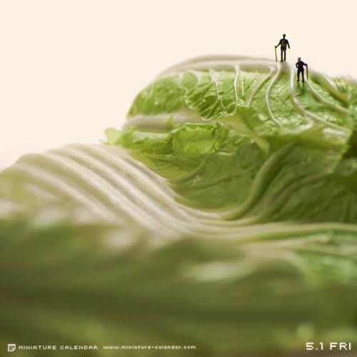 crossconnectmag:   Miniature Calendar Japanese artist Tanaka Tatsuya (featured previously) creates miniature diorama for daily calendar since 2011. His artwork titled “miniature calendar”  depicts diorama-style toy people with household items, including