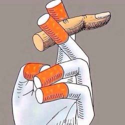 thetunneloftheacid23:  Smoke one.