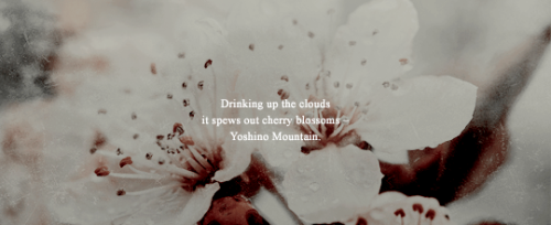 cassiopeis:@femmefatalenet | event seven | Konohanasakuya-hime + the cherry blossom | earthHaiku by 