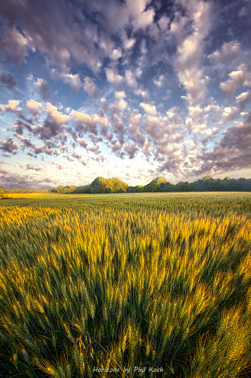 “Summer Love”Wisconsin Horizons by Phil KochTurning natural landscapes into portraits of