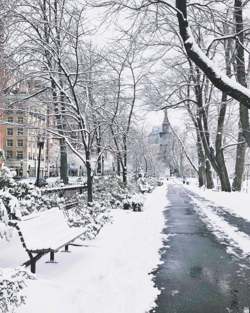 From snowy scenes like this to settling snow fort disputes today ❄️ #pretty #snow #winter #latergram