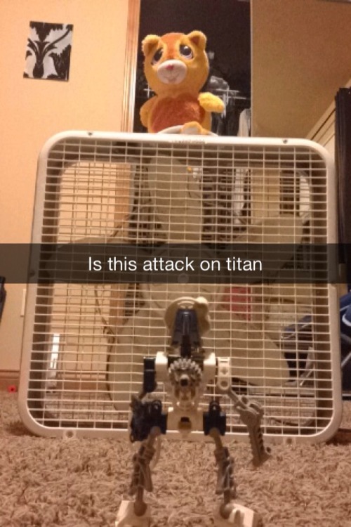 ask-kopaka: suddenlyoranges: quite possibly the best snapchat I’ve ever made GUYS I NEED BACKU